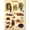 Plaque publicitaire 15 x 21 cm plate Le Cacao