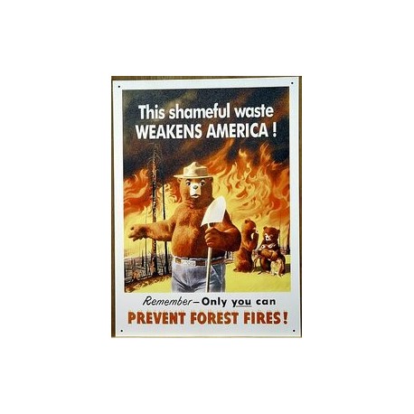 Plaque métal publicitaire 40 x 29cm plate : PREVENT FOREST FIRE