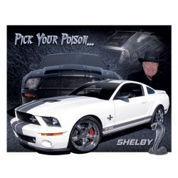 Ford - Shelby Mustang - You Pick