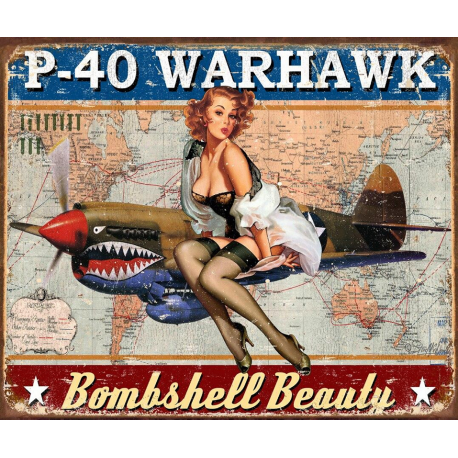 Plaque métal publicitaire 30x40cm plate : P-40 Warhawk