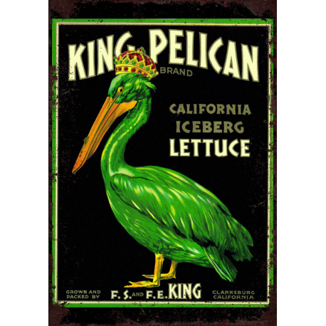 Plaque métal plate 20 x 30 cm : King Pelican