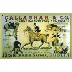 Plaque métal publicitaire 20x30cm bombée en relief :  Callaghan and Co.