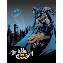 Plaque métal plate 30 x 40 cm : Batman - The Dark Knight