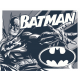 Plaque métal plate 30 x 40 cm : Batman - Duotone
