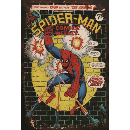 Plaque métal plate 20 x 30 cm : Spider-Man Comics