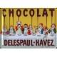 Plaque métal publicitaire 15x21cm bombée : Chocolat Delespaul Havez