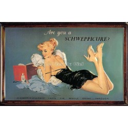 Plaque métal publicitaire 20x30cm bombée en relief : Are You a Schweppicure ?