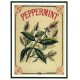 Carte Postale au format 15x21cm  Peppermint